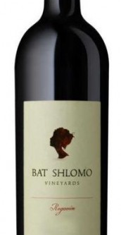 The BAT SHLOMO REGAVIM RED 750ML is a wine from the Judean Hills region of Israel