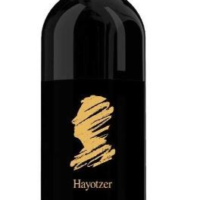The HAYOTZER GENESIS CAB SAUV 750ML is a full-bodied Cabernet Sauvignon hailing from the renowned vineyards of Israel. It features a complex flavor profile with notes of dark berries