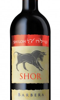 <p>SHILOH BARBERA SHOR 750ML is a robust red wine hailing from the renowned wine region of Italy. This Barbera offers vibrant acidity complemented by notes of ripe cherry