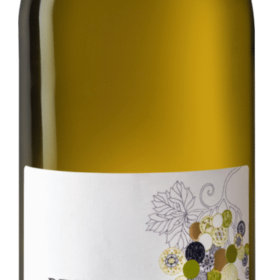 RECANATI SAUV BLANC is a vibrant white wine from the renowned Galilee region of Israel. It showcases a refreshing flavor profile with notes of citrus