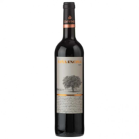 ELVI VINA ENCINA RED 750ML is a distinguished wine from the renowned regions of Spain
