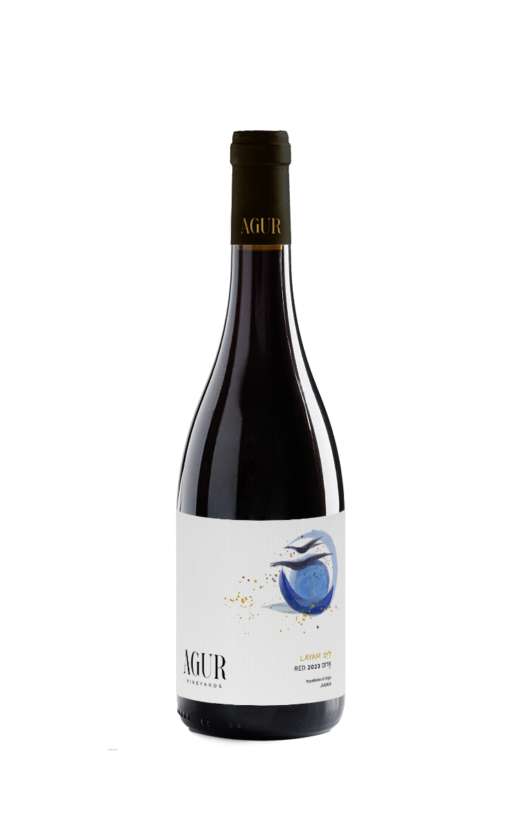 ml9nml9negk0-LAYAM-2023