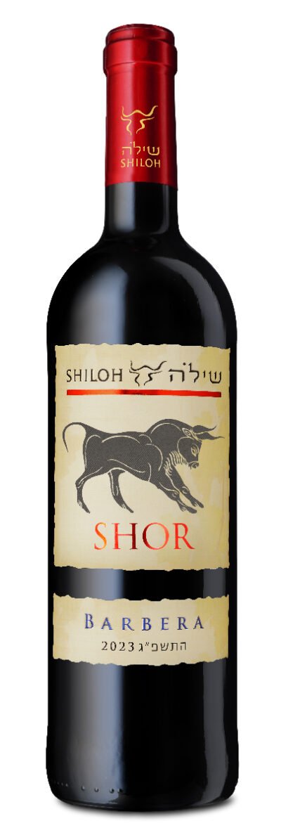 SHILOH BARBERA SHOR 750ML is a robust red wine hailing from the renowned wine region of Italy. This Barbera offers vibrant acidity complemented by notes of ripe cherry