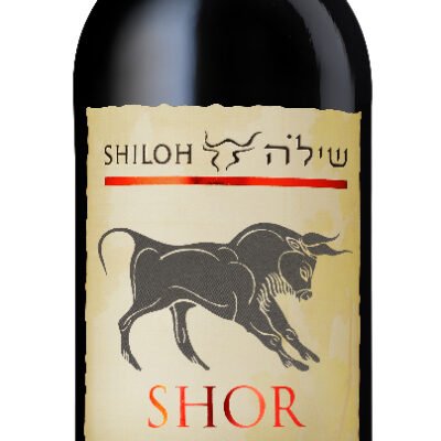 SHILOH BARBERA SHOR 750ML is a robust red wine hailing from the renowned wine region of Italy. This Barbera offers vibrant acidity complemented by notes of ripe cherry