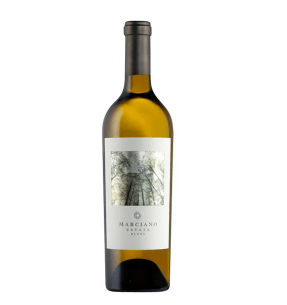 TERRA GRATIA MARCIANO SAUV BLANC is a vibrant white wine known for its crisp acidity and refreshing citrus notes